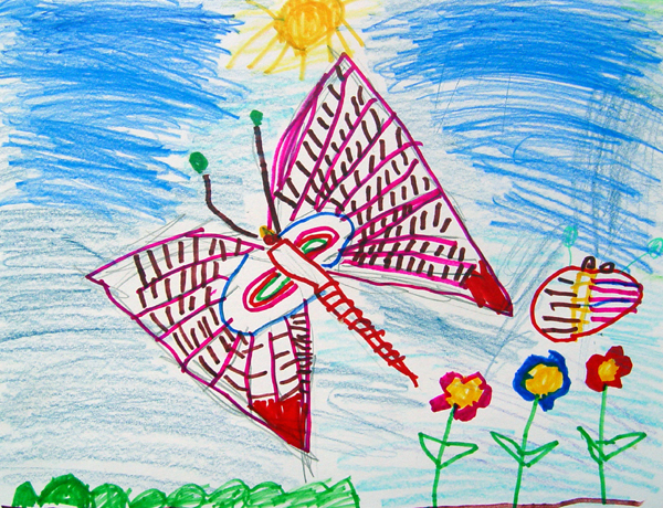 Butterfly