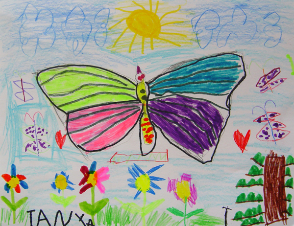 Butterfly_2
