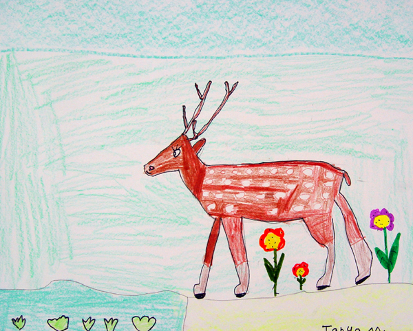 Deer