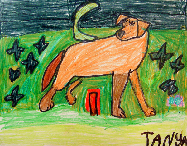 Dog_5