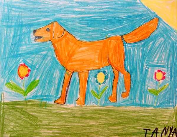 Dog_6