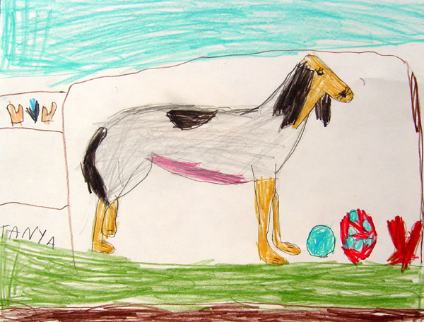 Dog_7