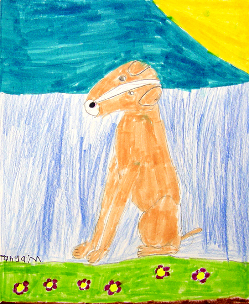 Dog_8