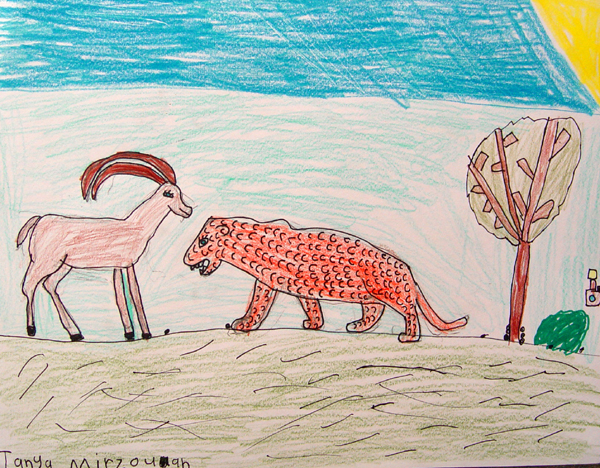Leopard