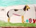 Dog_7
