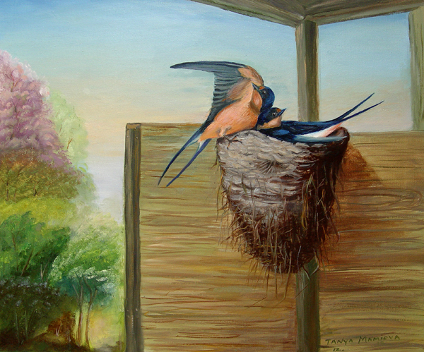 Birds_2