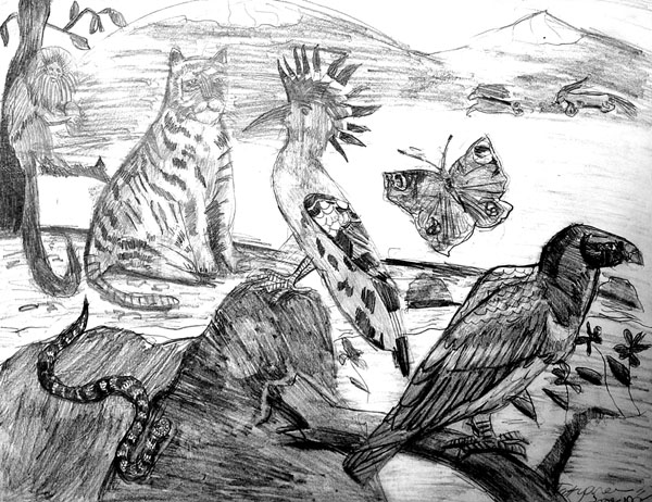 Animals_1