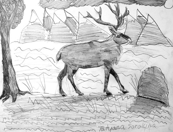 Deer