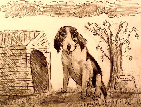 Dog