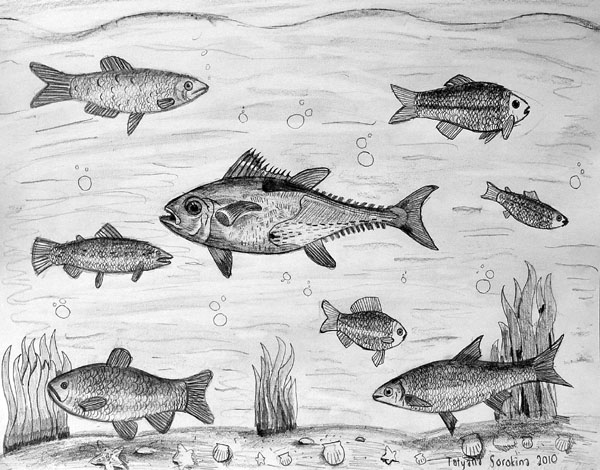 Fishes
