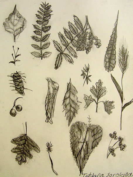 Sketches_3