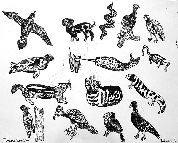 Sketches_5_(ink)