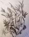 Sketches_2
