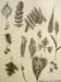 Sketches_3