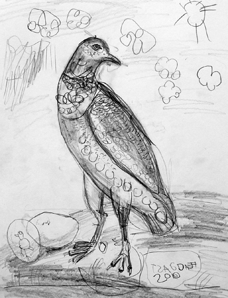 Bird