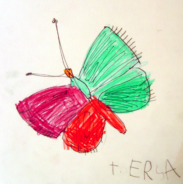 Butterfly