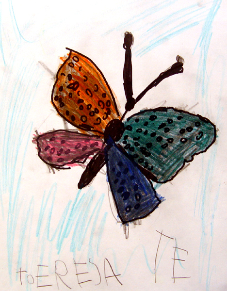 Butterfly_3