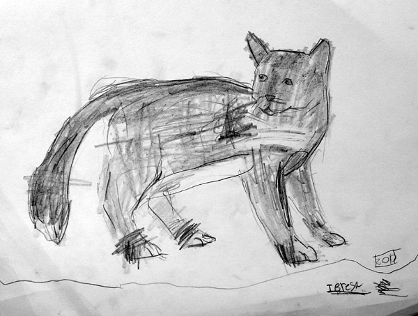 Cat_1