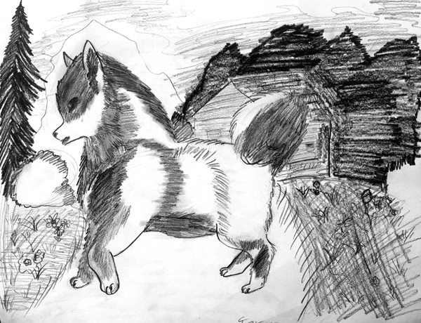 Dog_7