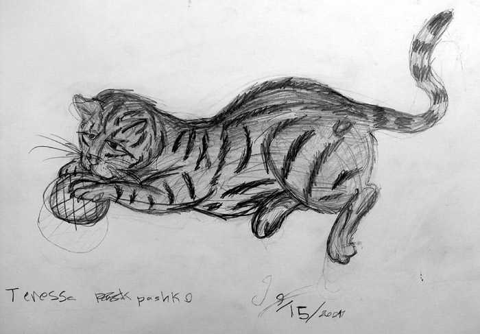 Cat