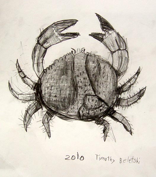 Crab
