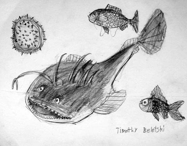 Fish