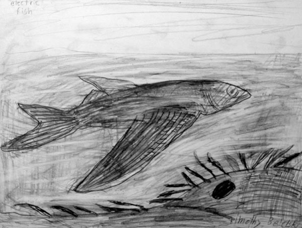 Fish_2