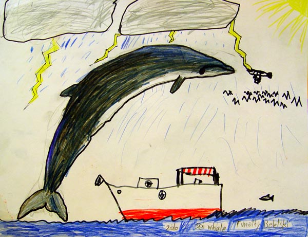 Whale