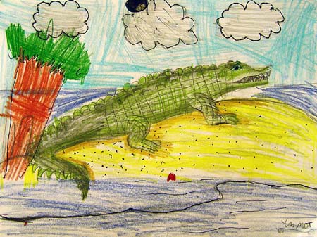 Crocodile