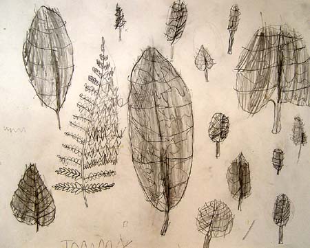 Sketches_(leaves)