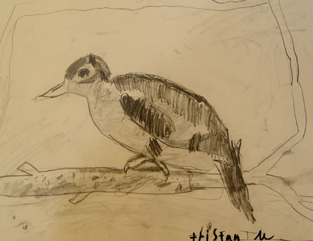 Bird