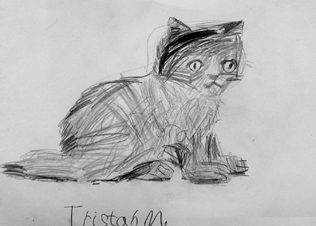Cat_2