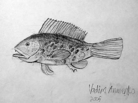 Fish