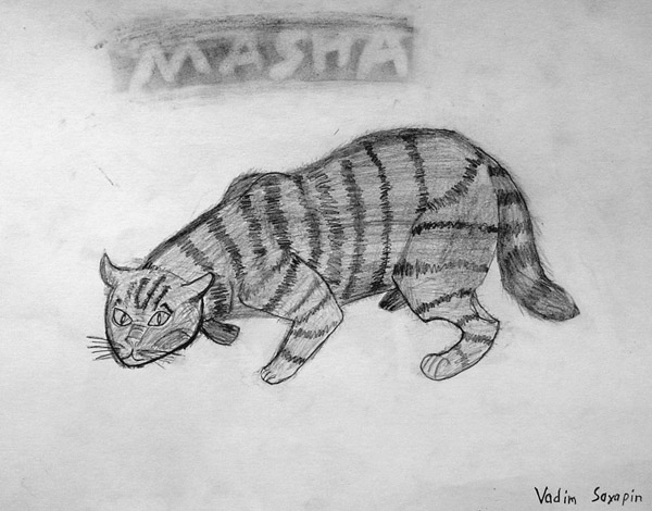 Bobcat