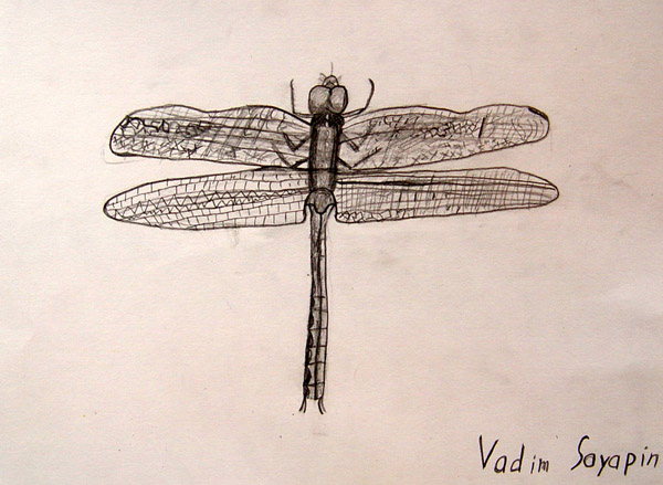 Dragonfly