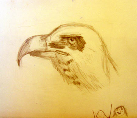 Eagle