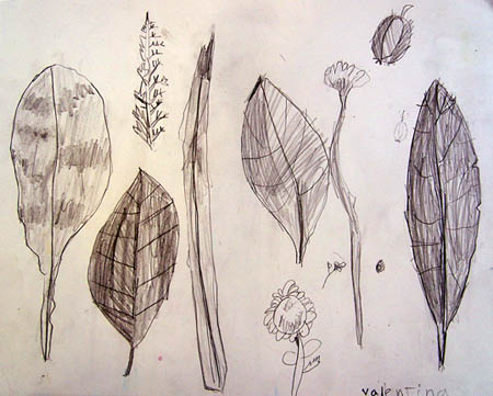 Sketches_1