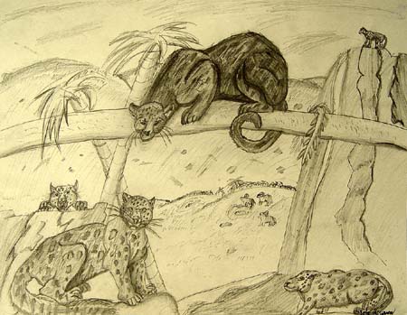 Animals_3