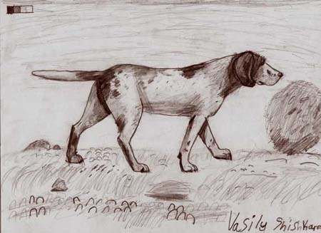 Dog