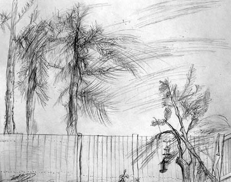 Sketch