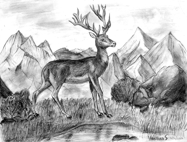 Deer_2