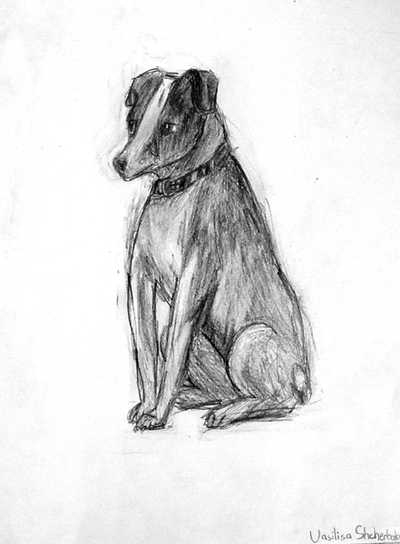 Dog