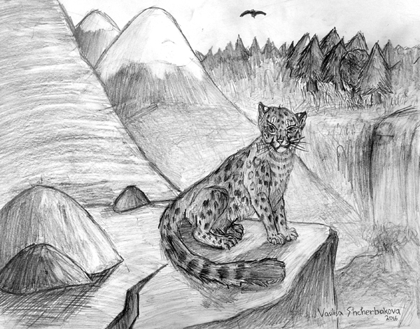 Leopard
