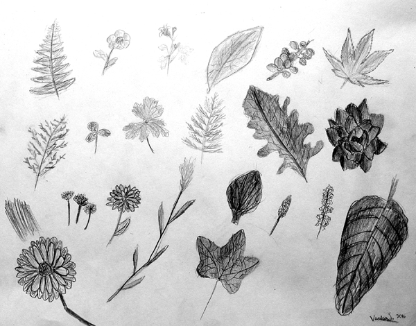 Sketches