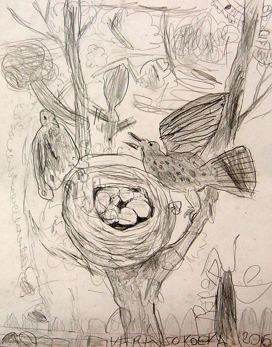 Birds