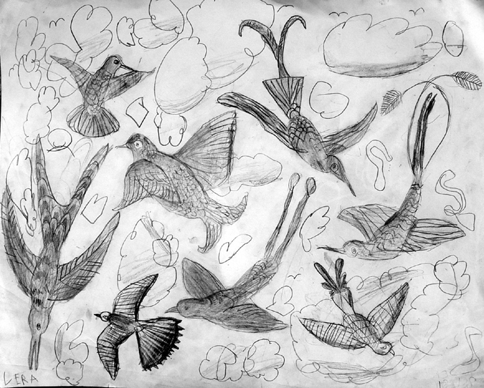 Birds_8