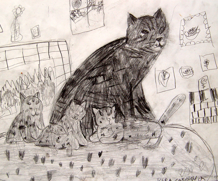 Cats