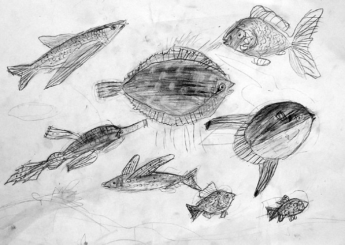 Fish