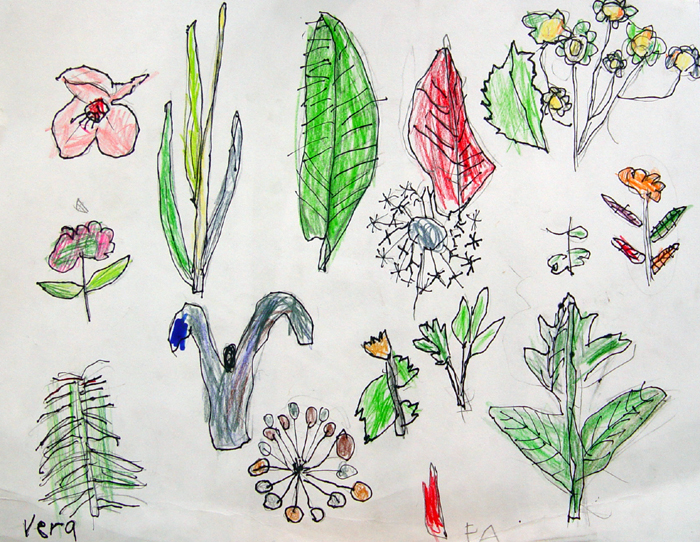 Sketches