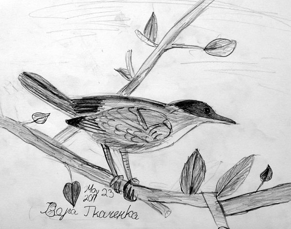 Bird_2